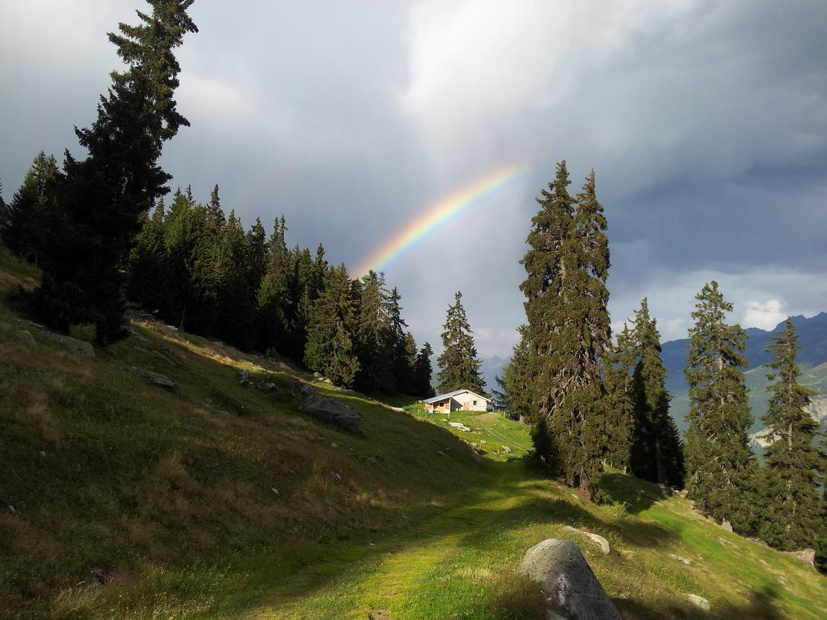 Alphuette Bielerchaeller Vila Fiesch Exterior foto